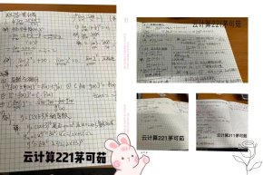 智信江南app体育在线登录入口新人权