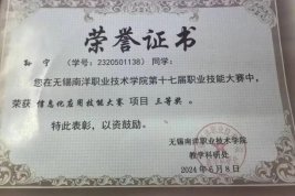 校级一等奖学金