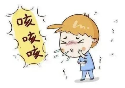 我们为大家带来了一份