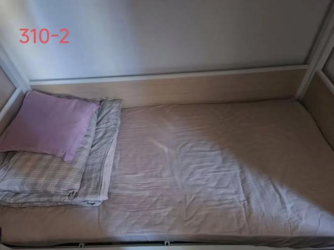 桃20-101