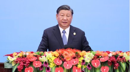 相知相亲的好伙伴