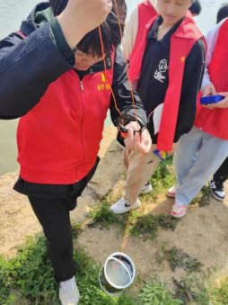 由于工农业生产的快速发展和人口的增加