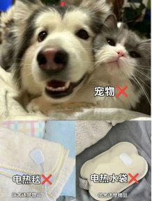 9月9日