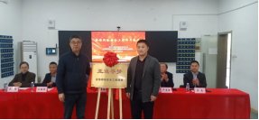 真正做到学有所思