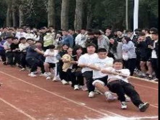 江南app体育在线登录入口限时优惠